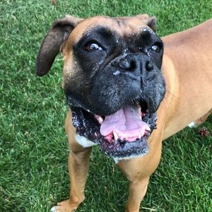 Meet your Posher, Kristen